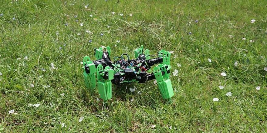 Askeri Operasyonlar İçin Örümcek Robot Geliştirdiler
