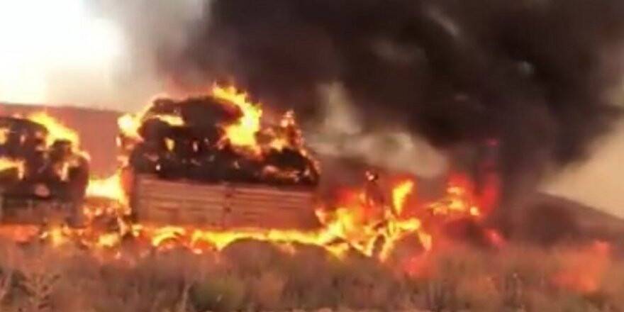 Konya'da 13 Bin Saman Balyası Yandı