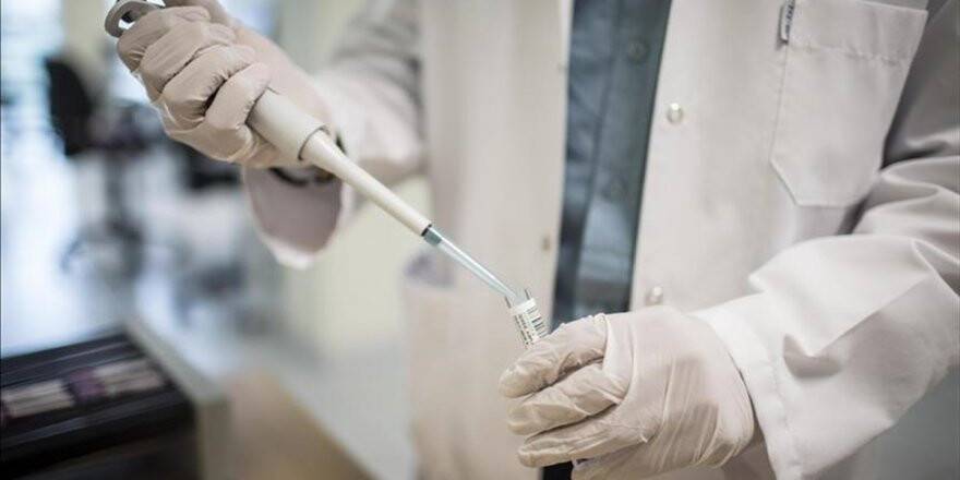 Sözleşmeli Yerli Ve Yabancı Sağlık Uzmanı Çalıştırılabilecek