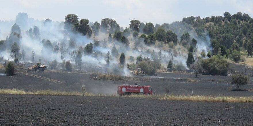 Beyşehir'de Tarım Arazisi Ve Orman Yangını