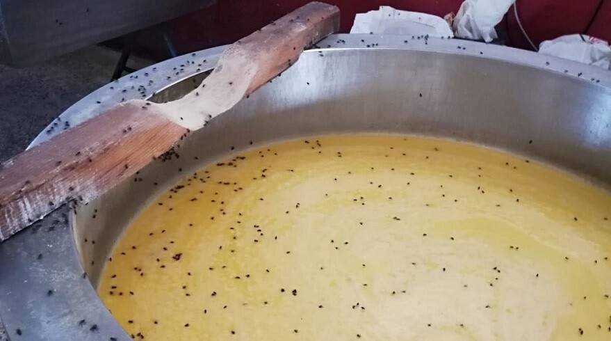 Depoya giren zabıta ekipleri gözlerine inanamadı