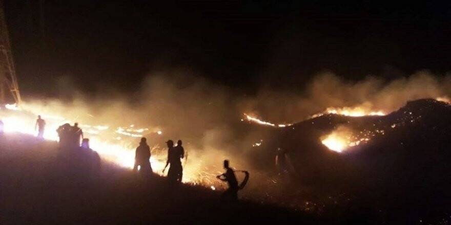 Gürcistan-Ermenistan sınırındaki yangın söndürülemiyor