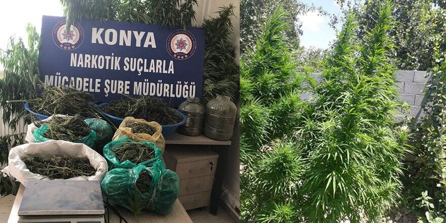 Kenevirlerin boyu bahçe duvarını aşınca yakalandı