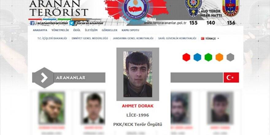 Gri Listede Aranan Pkk'lı Terörist Etkisiz Hale Getirildi