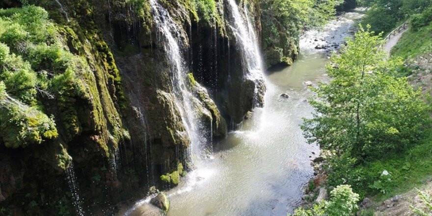 Doğaseverlerin Uğrak Noktası: Kuzalan Tabiat Parkı