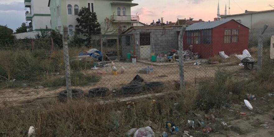 Güvercin Hırsızlığı İddiası