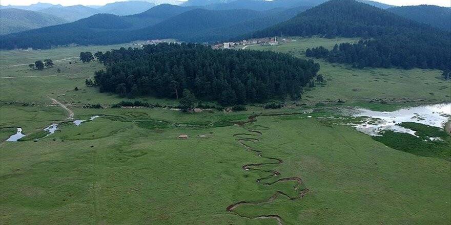 Bolu Yayla Turizminde De Söz Sahibi Olmak İstiyor