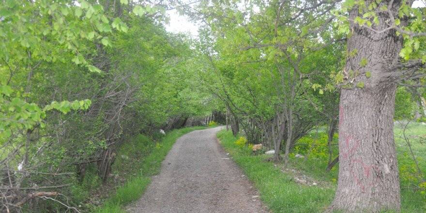 BAŞKAN AÇIKLADI ! FINDIKLI YOL NE OLACAK ?