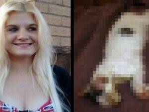 Kedisini Mikrodalga Fırında Pişiren Kadına Hapis