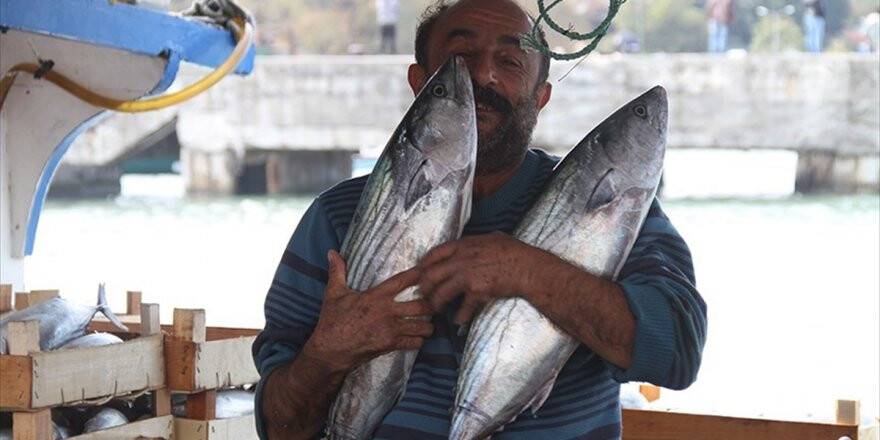 14 Metrelik Tekneden 8 Bin Palamut Çıktı