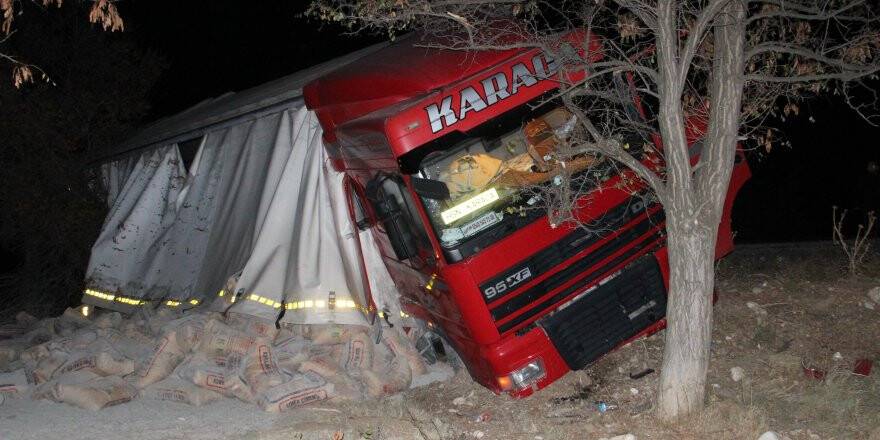 Tırı devrilmekten ağaçlar kurtardı 