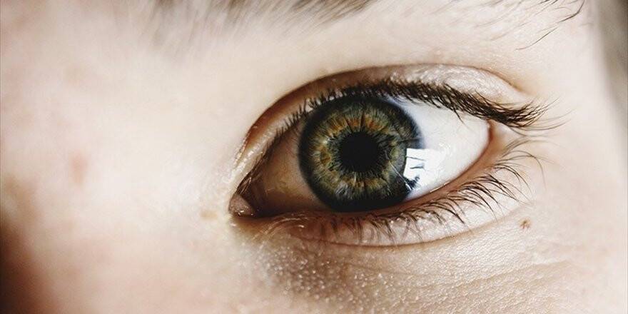 Görme Bozukluklarının Tedavisi İçin Retina Üretildi