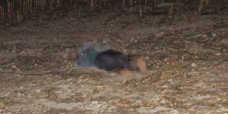 Çiftlik sahibi ve Afgan çalışanı, tabancayla öldürülmüş bulundu