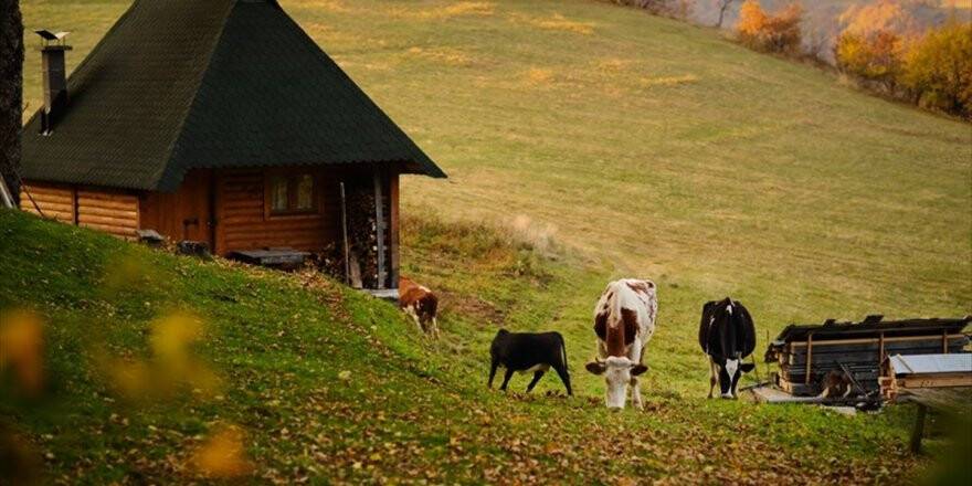 Bosna Hersek'te Sonbahar Renkleri