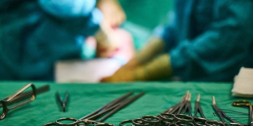 Transplant Hekimlerin Hayali 'Yapay Organ'