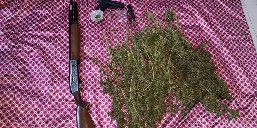 Bebek beşiğinin altına gizlenen uyuşturucuyu 'Oscar' buldu