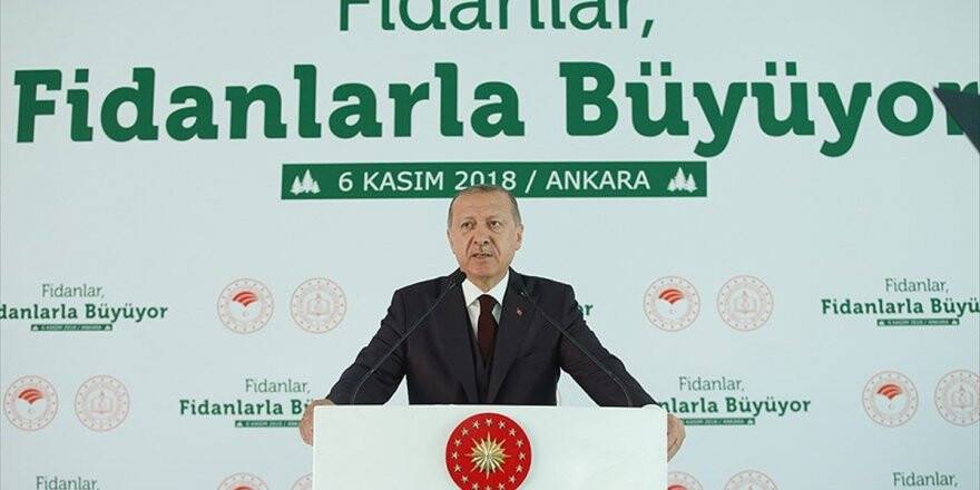 Cumhurbaşkanı Erdoğan: Tabiata Bakış Açımızı Düzeltmezsek Dünya Yaşanılır Olmaz