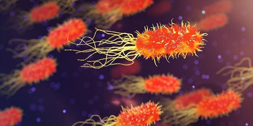 Oecd'den 'Antibiyotiklere Dirençli Bakteri' Uyarısı: 2,4 Milyon İnsan Ölebilir