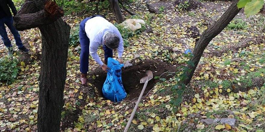 Tereyağı Ve Peynirin Lezzeti Toprağın Altından