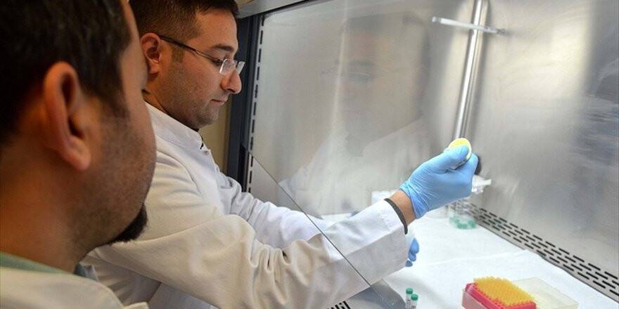 Türk Bilim İnsanlarından 'Çevre Dostu' Laboratuvar Ürünleri