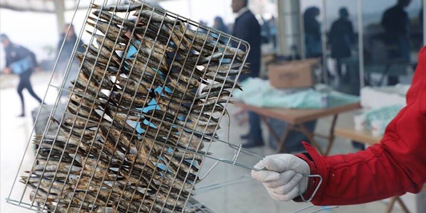 2 Günde Ayıklanan 1,5 Ton Hamsi 2 Saatte Tüketildi