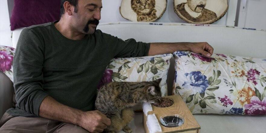 İki Bacağı Olmayan Kediyi Hayata Bağladı