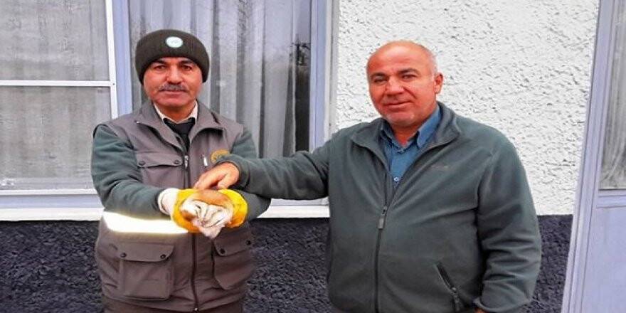 Karayolunda bulunan yaralı baykuş koruma altına alındı