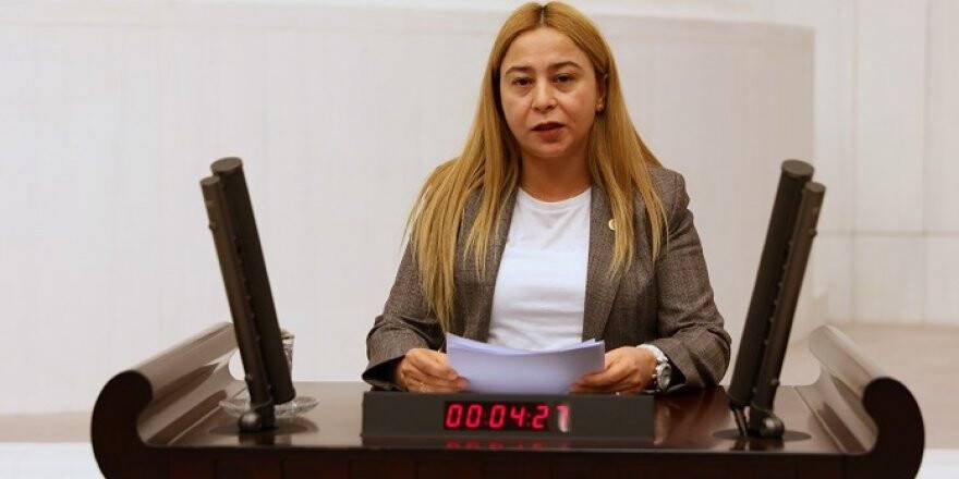 Milletvekili Esin Kara’dan, mali müşavirlere arabuluculuk talebi