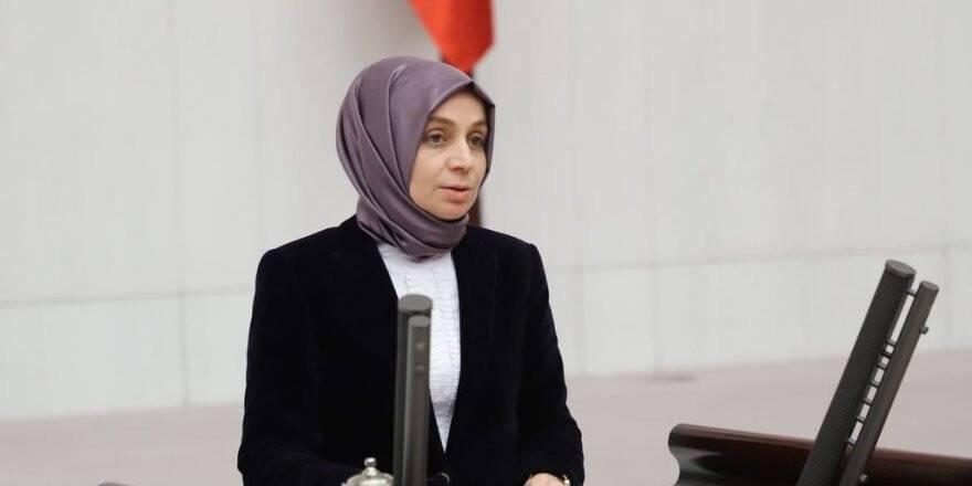 "Hz. Mevlana gerçek bir insan hakları savunucusudur"