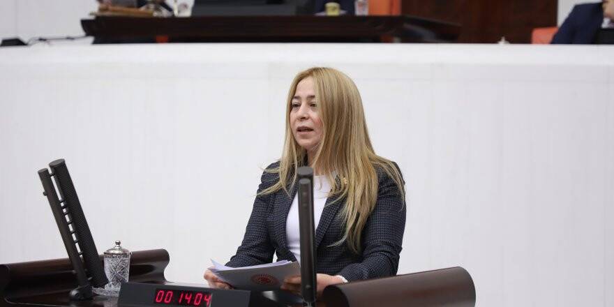 Milletvekili Esin Kara: “Beyin göçü engellenmeli” 