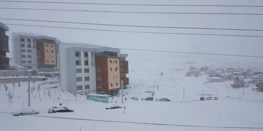 NEÜ'de sadece Köyceğiz'de tatil var