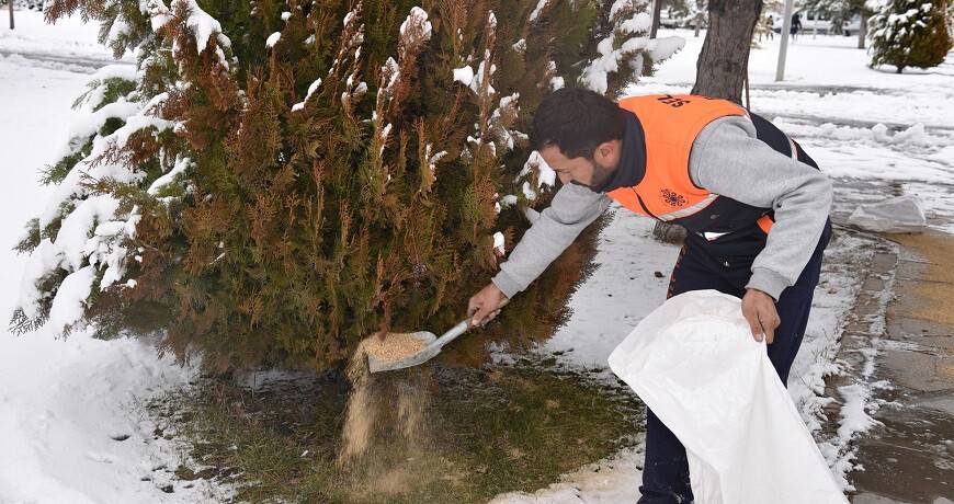 Selçuklu Belediyesi soğuk havada sokak hayvanlarını unutmadı