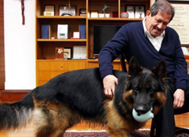 'Köpeğim o ülkeye alışamaz' dedi, görevi reddetti
