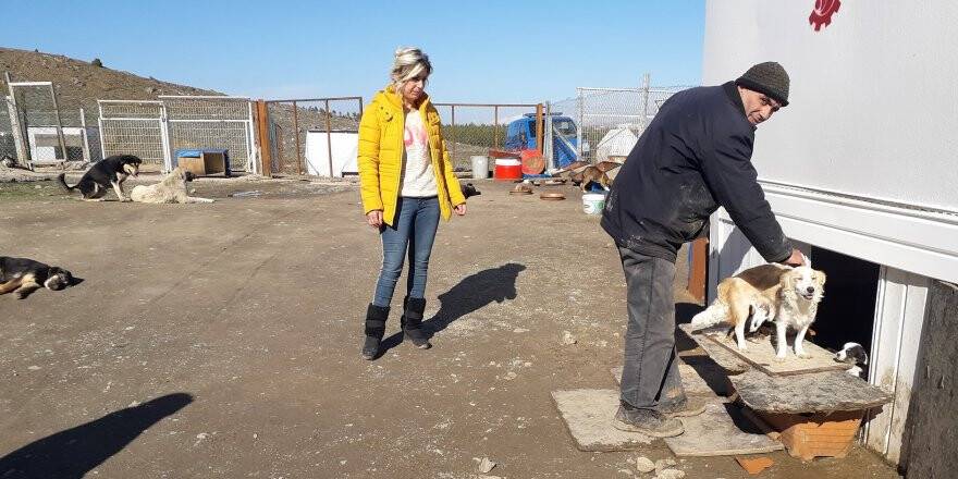 Seydişehir'de Hayvan Barınağına Saldırı