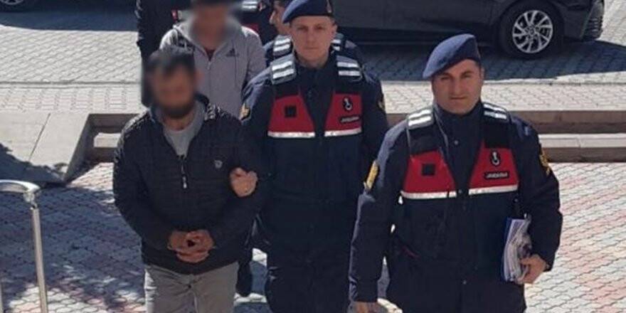 Hayvan hırsızları tutuklandı