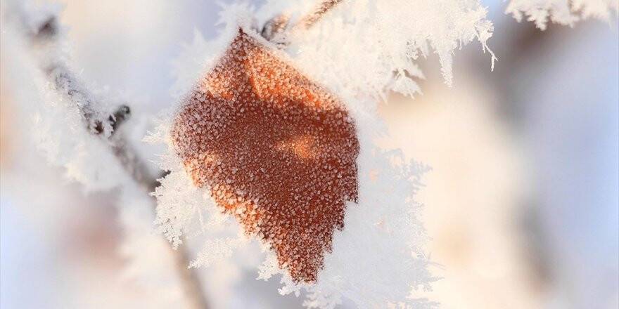 Meteoroloji'den  zirai don uyarısı