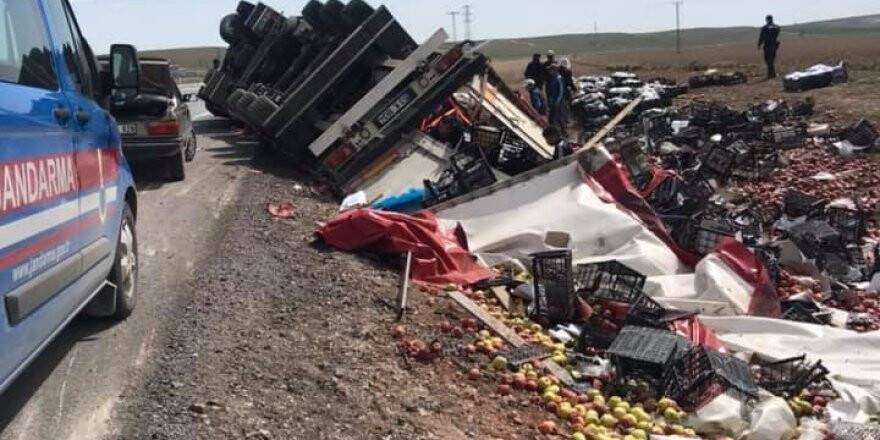 Köpeğe çarpmamak için manevra yapan tır devrildi