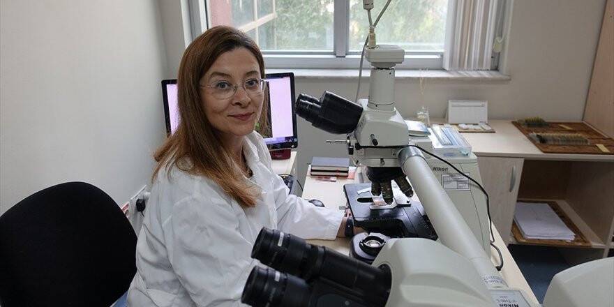 Kanserin Dna'daki Parmak İzini Arıyorlar