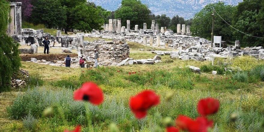 Lagina'nın Sütunları Ayağa Kaldırılıyor