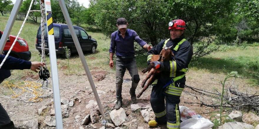 Kuyuya Düşen Oğlağı İtfaiye Ekipleri Kurtardı
