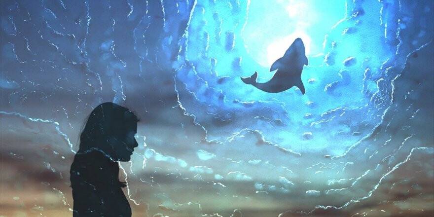 Meclis Komisyonu 'Mavi Balina'yı Mercek Altına Aldı