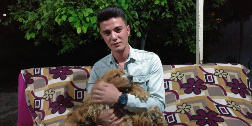 Otomobilin Çarptığı Köpeğini Kalp Masajı İle Hayata Döndürdü