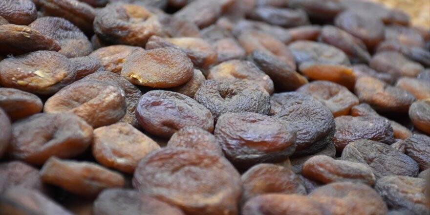 Gün Kurusu Kayısı Deney Hayvanlarının Kırmızı Kan Hücrelerini Artırdı
