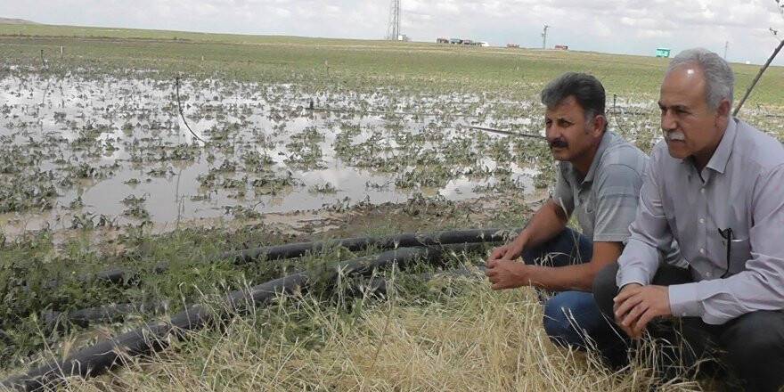 Dolu yağışı sonrası hasar tespiti yapıldı