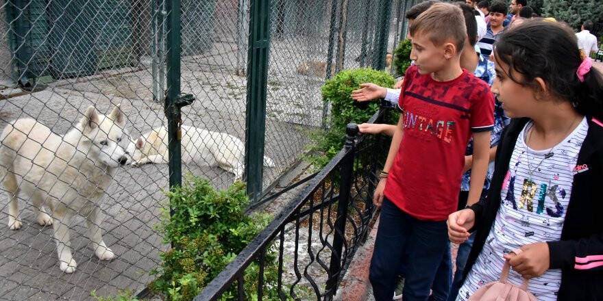 Karatay'dan öğrencilere Bilim Merkezi ve hayvanat bahçesi gezisi