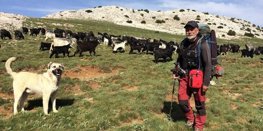 Yörüklerle 26 Gün Yürüyerek Göç Yolunu Kaydetti