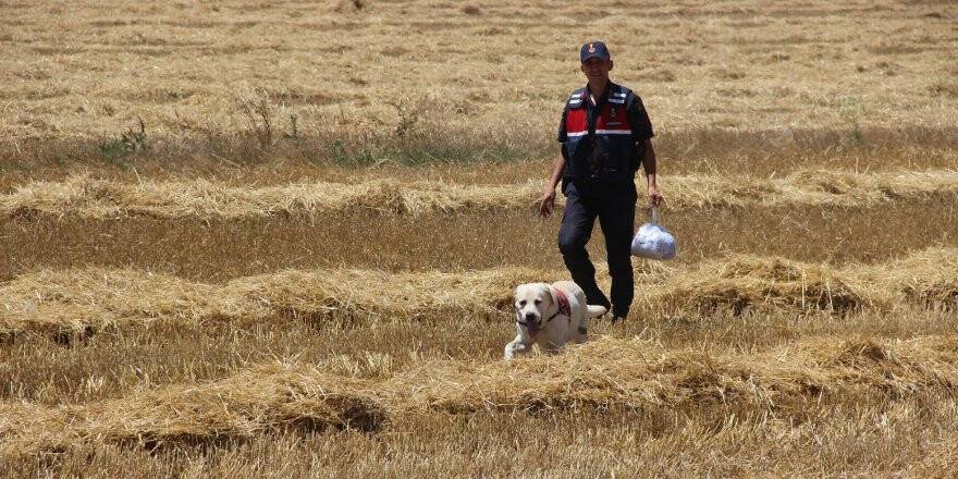 Konya'da Kaybolan Zihinsel Engelli Çocuk Bulundu