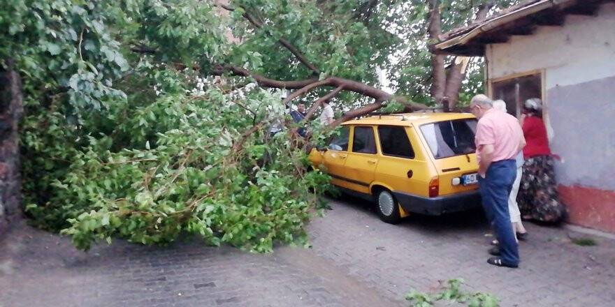 Tokat’ta fırtına çatıları uçurdu, ağaçları devirdi