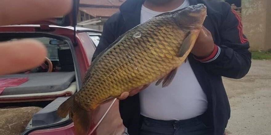 Yasak dönemde avladığı balıkla çektiği fotoğrafı paylaşınca cezayı yedi