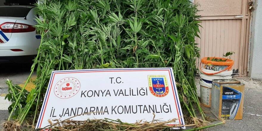 Beyşehir'de Uyuşturucu Operasyonu